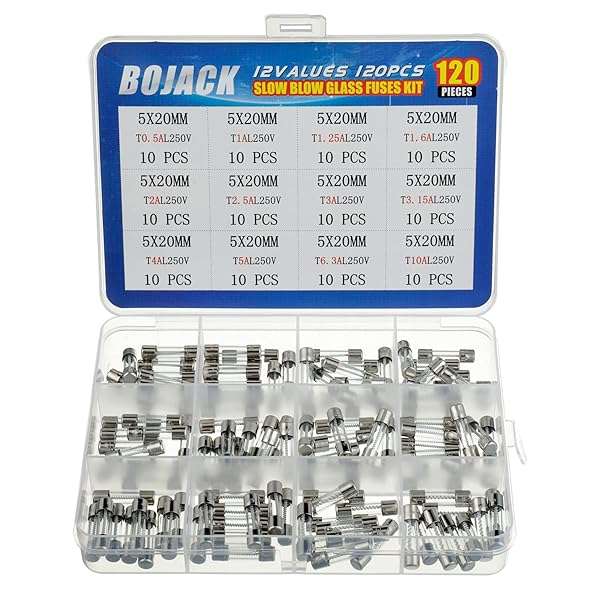 BOJACK BOJACK 120 pcs Slow Blow Glass Fuses Assortment Kit 5x20mm 250V - 12 Values in Clear Plastic Box