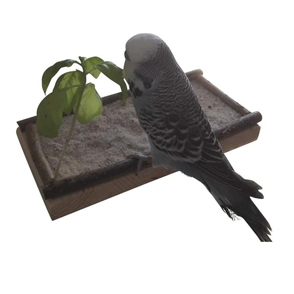 POPETPOP POPETPOP Bird Perch Platform for Parakeets Lovebirds and Cockatiels Wood Stand for Bird Cage Flat Perch for Parrots and Small Birds - View 3 of 9