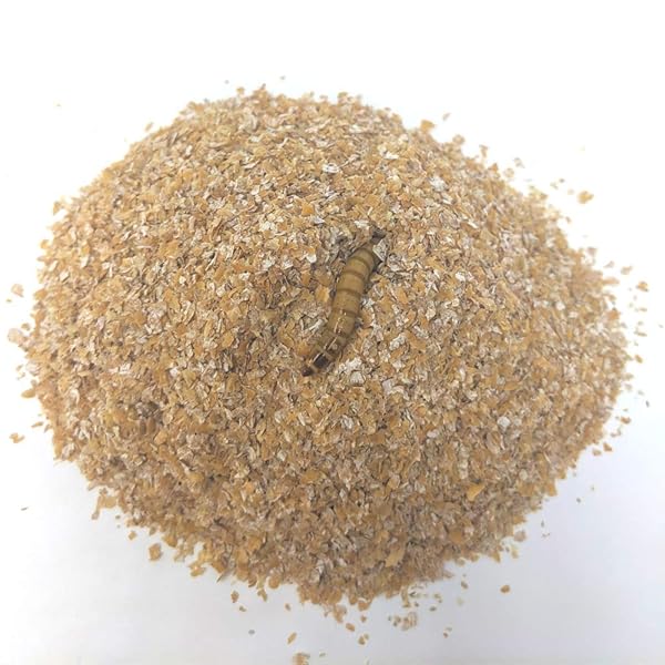 EZ Botanicals EZ Botanicals Mealworm and Superworm Bedding 1 Quart Ideal Substrate for Storing Meal Worms and Super Worms - View 3 of 3