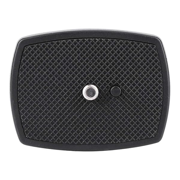 V BESTLIFE Quick Release Plate Tripod Mount Board with 1/4 Screw for Yunteng VCT668 ST666 690 Weifeng Compatible Accessories
