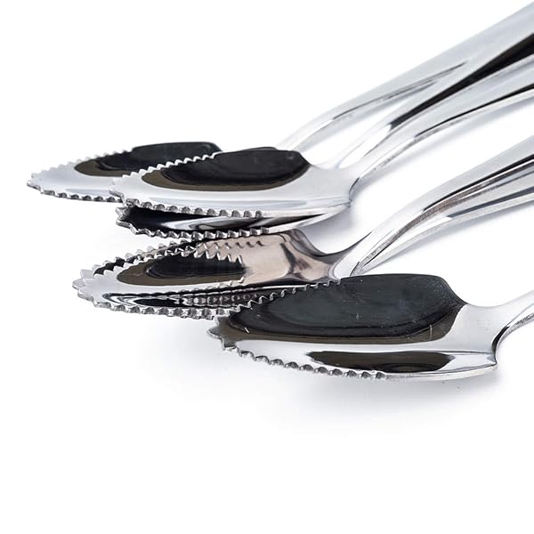 JUCOXO "JUCOXO 4-Piece Grapefruit Spoons Set - 6.1" Stainless Steel Citrus Dessert Spoons for Kitchen Gifts" - View 6 of 7