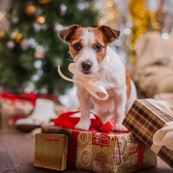 CEDAR CRATE MARKET 25 Year Anniversary Ornaments for Him Her Unique Christmas Tree Decorations for Couples Perfect Gift Ideas for Parents - View 4 of 6