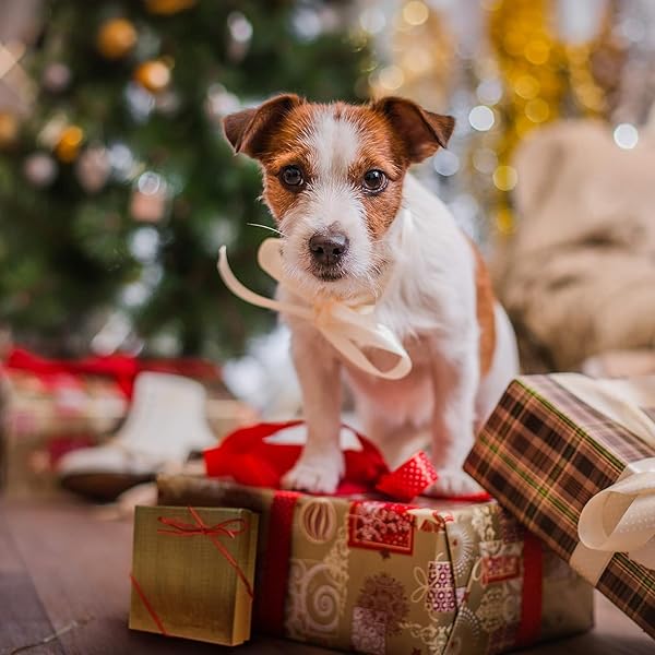 CEDAR CRATE MARKET 1st Retired Christmas Ceramic Tree Ornament 2875 Inch Round Holiday Keepsake Gift Box Perfect Retirement Gifts for Women or Men - View 5 of 6