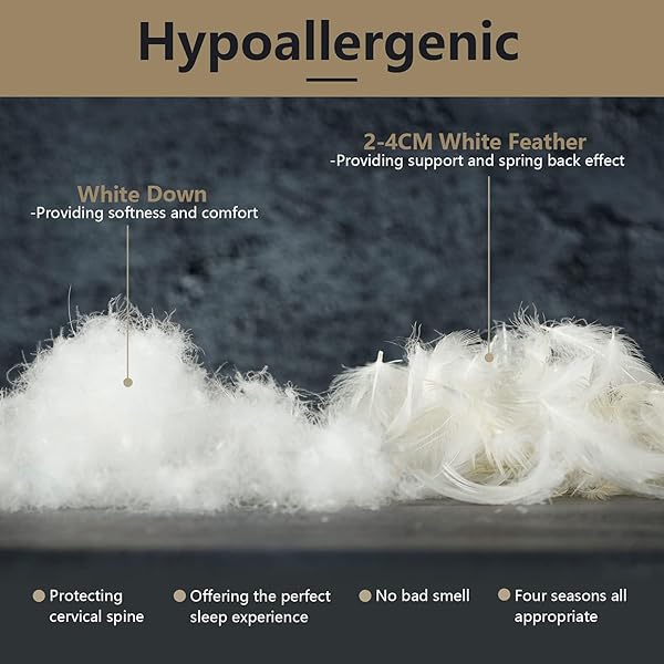 Damome Damome Goose Feathers Down Pillows for Sleeping 2 Pack Queen Size White Bed Pillow Inserts 100 Cotton Cover Ideal for All Sleepers - View 5 of 9