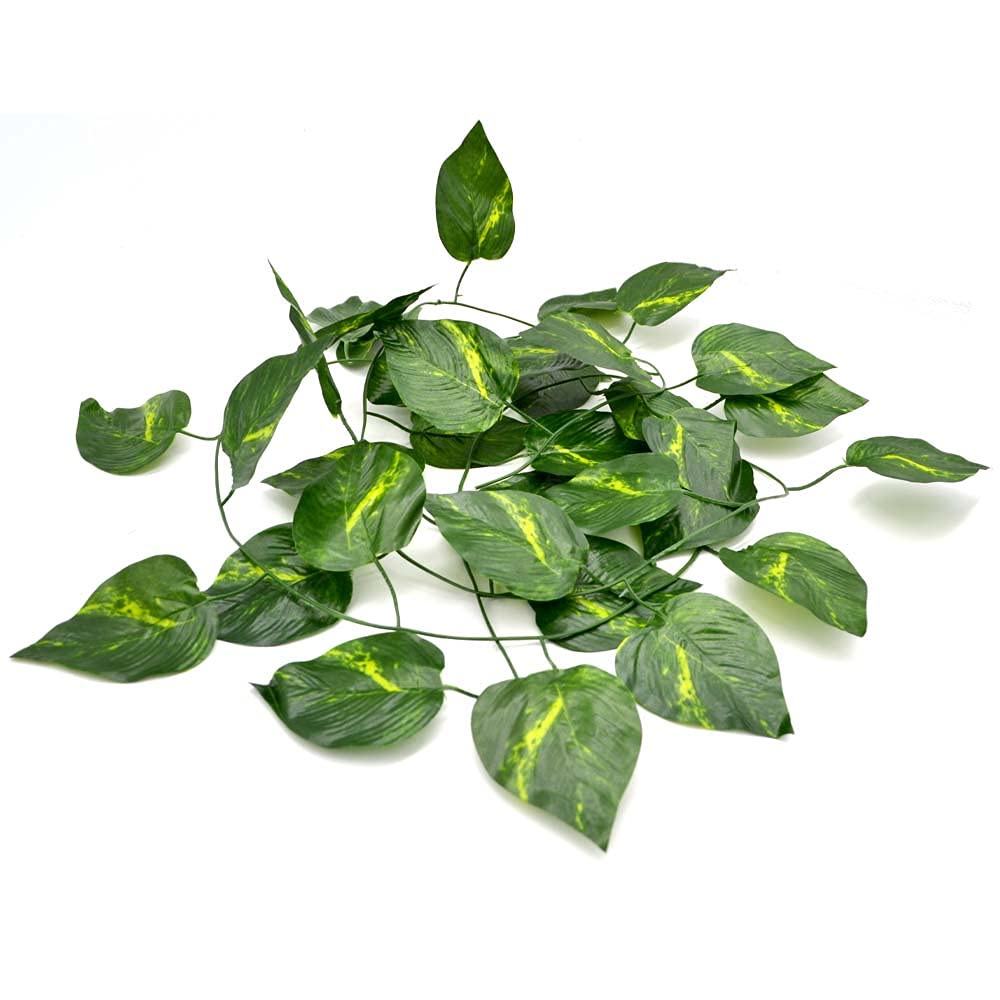 XYZReptiles XYZReptiles Jungle Reptile Vine Natural Decor for Terrarium and Reptile Habitats