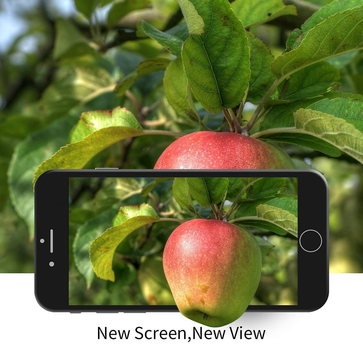 Brinonac Brinonac iPhone 5s/SE 2016 Screen Replacement: Black LCD Touch Display with Tools & Protector - View 4 of 7