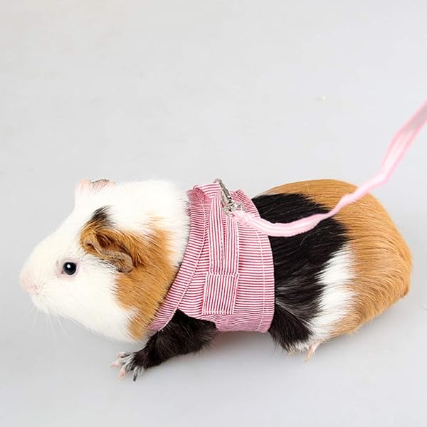 POPETPOP POPETPOP Hedgehog Harness Small Pet Chest Strap for Guinea Pig Fashionable Stripe Design Easy to Wear Pet Supplies - View 7 of 7