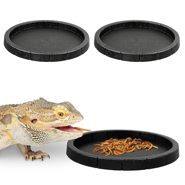 POPETPOP POPETPOP 2Pcs Lightweight Round Reptile Feeding Bowls Tortoise Food Dish Water Container for Reptile Tank Decor - View 2 of 9