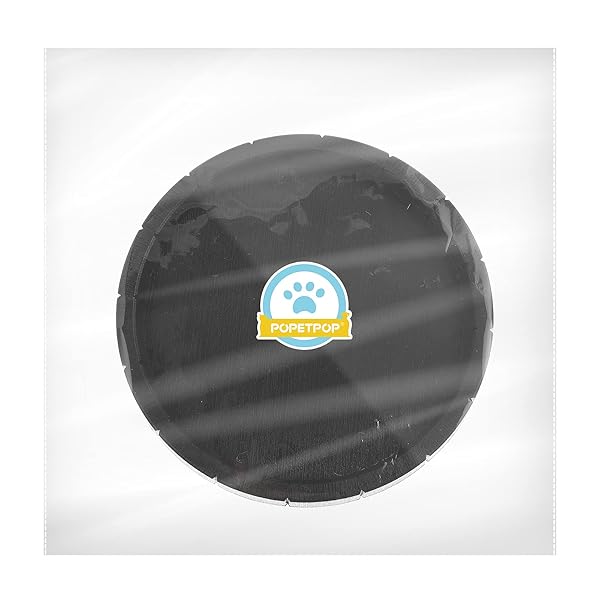 POPETPOP POPETPOP 2Pcs Lightweight Round Reptile Feeding Bowls Tortoise Food Dish Water Container for Reptile Tank Decor - View 7 of 9