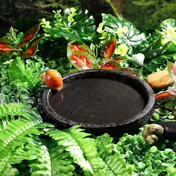 POPETPOP POPETPOP 2Pcs Lightweight Round Reptile Feeding Bowls Tortoise Food Dish Water Container for Reptile Tank Decor - View 9 of 9
