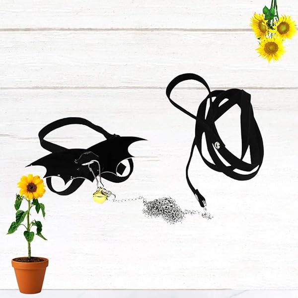 POPETPOP POPETPOP Adjustable Turtle Harness and Leash with Wings for Tortoise Walking Training Black - View 2 of 9