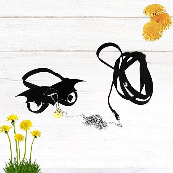 POPETPOP POPETPOP Adjustable Turtle Harness and Leash with Wings for Tortoise Walking Training Black - View 5 of 9