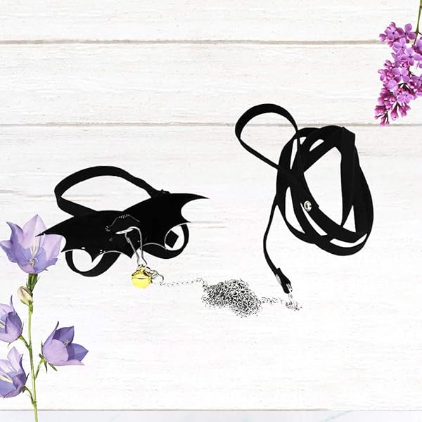 POPETPOP POPETPOP Adjustable Turtle Harness and Leash with Wings for Tortoise Walking Training Black - View 8 of 9