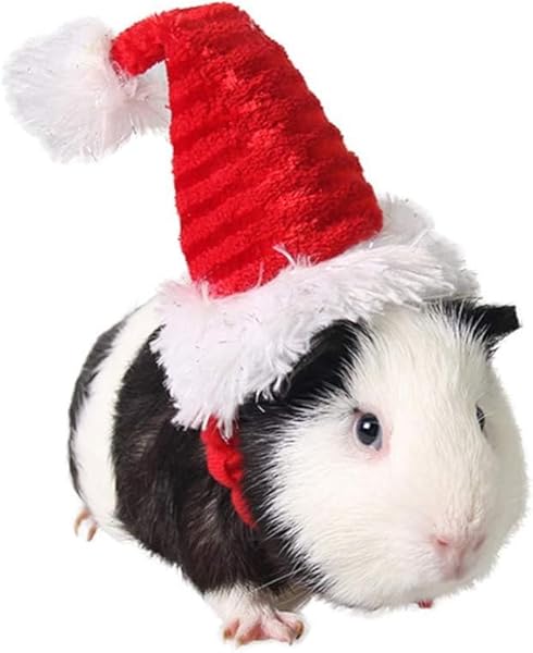 POPETPOP POPETPOP Guinea Pig Costume Christmas Hat Set for Small Pets Santa Claus Cap for Rabbits Hamsters Kittens and More 2pcs - View 2 of 9