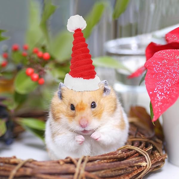 POPETPOP POPETPOP Guinea Pig Costume Christmas Hat Set for Small Pets Santa Claus Cap for Rabbits Hamsters Kittens and More 2pcs - View 8 of 9