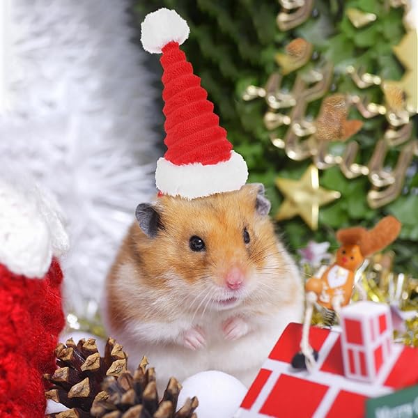 POPETPOP POPETPOP Guinea Pig Costume Christmas Hat Set for Small Pets Santa Claus Cap for Rabbits Hamsters Kittens and More 2pcs - View 9 of 9