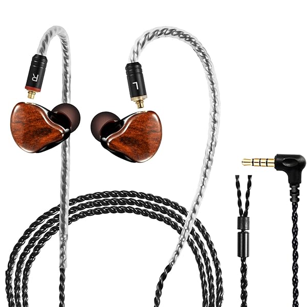 DCMEKA DCMEKA in Ear Monitor Headphones, HiFi Stereo IEM Earphones, Dynamic Dual Driver Wired Earbuds with Detachable Cable, Noise Canceling Headset for Singers Musicians Drummers Audiophile (Wood Grain) - View 2 of 8