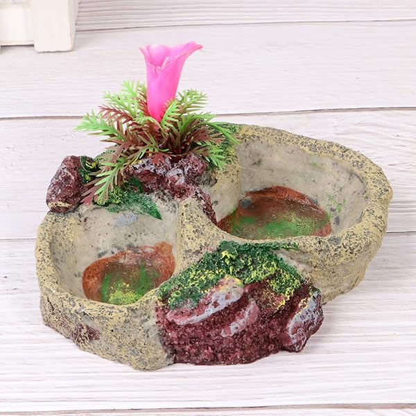 POPETPOP POPETPOP Reptile Water Bowl Feeder Dish for Tortoise Lizard Frog Gecko Snake Chameleon Bearded Dragon Accessories SP-008 - View 2 of 8