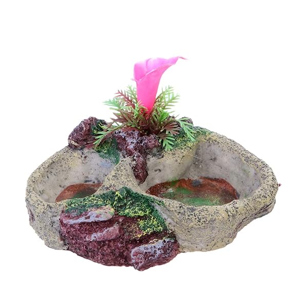 POPETPOP POPETPOP Reptile Water Bowl Feeder Dish for Tortoise Lizard Frog Gecko Snake Chameleon Bearded Dragon Accessories SP-008 - View 3 of 8