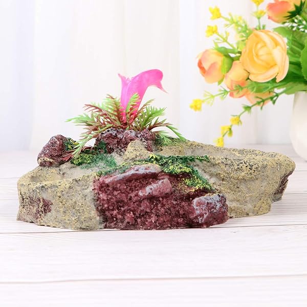 POPETPOP POPETPOP Reptile Water Bowl Feeder Dish for Tortoise Lizard Frog Gecko Snake Chameleon Bearded Dragon Accessories SP-008 - View 4 of 8