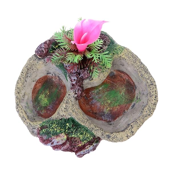 POPETPOP POPETPOP Reptile Water Bowl Feeder Dish for Tortoise Lizard Frog Gecko Snake Chameleon Bearded Dragon Accessories SP-008 - View 5 of 8