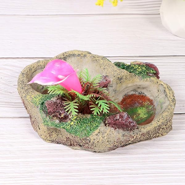 POPETPOP POPETPOP Reptile Water Bowl Feeder Dish for Tortoise Lizard Frog Gecko Snake Chameleon Bearded Dragon Accessories SP-008 - View 8 of 8