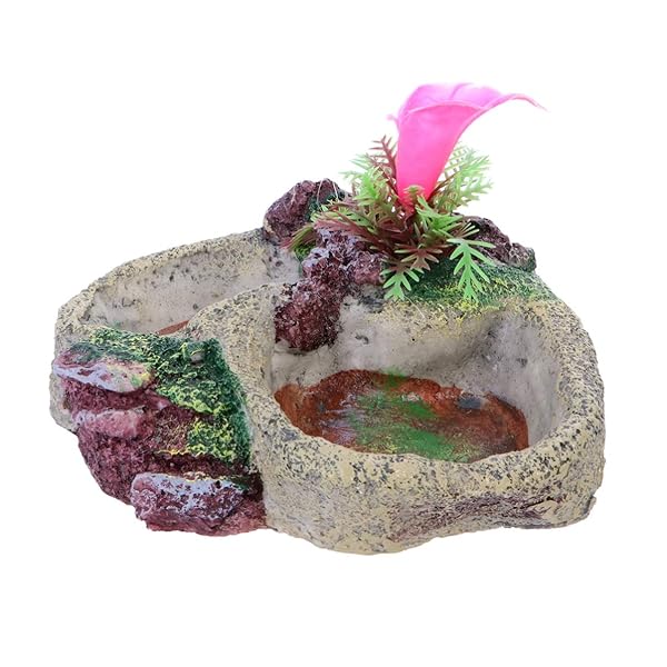 POPETPOP POPETPOP Reptile Water Bowl Feeder Dish for Tortoise Lizard Frog Gecko Snake Chameleon Bearded Dragon Accessories SP-008