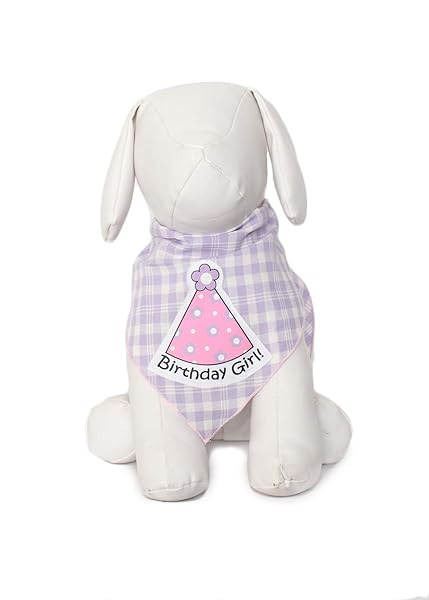 Tail Trends Tail Trends Happy Birthday Dog Bandana and Party Hat Set for Medium to Large Dogs 100 Cotton Applique Design - View 2 of 7