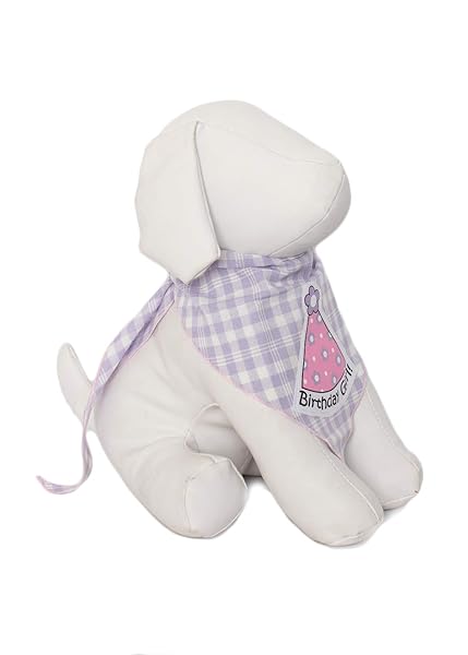 Tail Trends Tail Trends Happy Birthday Dog Bandana and Party Hat Set for Medium to Large Dogs 100 Cotton Applique Design - View 3 of 7