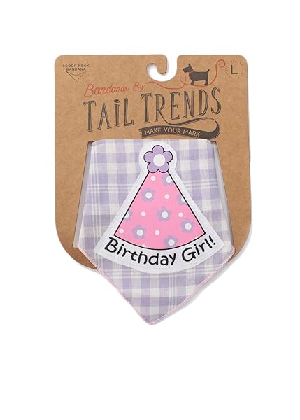 Tail Trends Tail Trends Happy Birthday Dog Bandana and Party Hat Set for Medium to Large Dogs 100 Cotton Applique Design - View 5 of 7