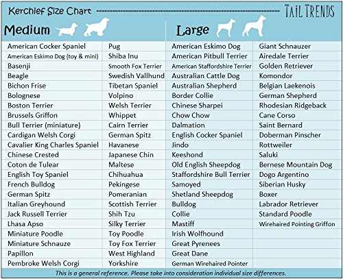 Tail Trends Tail Trends Happy Birthday Dog Bandana and Party Hat Set for Medium to Large Dogs 100 Cotton Applique Design - View 6 of 7