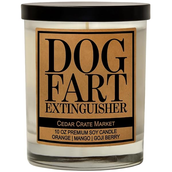 Funny Dog Candles for Dog Lovers Handmade 100 Soy Jar Candle Gifts for Mom Dad Pet Moms Fur Mamas Rescue Adoption