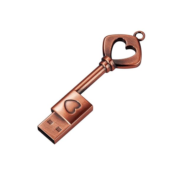 Garrulax GARRULAX 64GB USB Flash Drive Metal Memory Stick High Speed Data Storage Pendrive Thumb Drive for Easy File Transfer - View 3 of 8