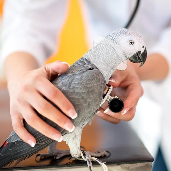 POPETPOP POPETPOP Bird Collar for Parrots and Macaws Safe Wound Healing Neck Cover for African Parakeets and Cockatiels - View 8 of 9