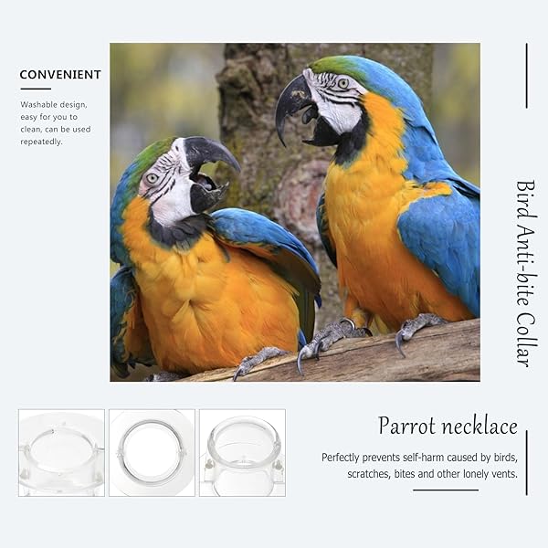 POPETPOP POPETPOP Bird Collar for Parrots and Macaws Safe Wound Healing Neck Cover for African Parakeets and Cockatiels - View 9 of 9