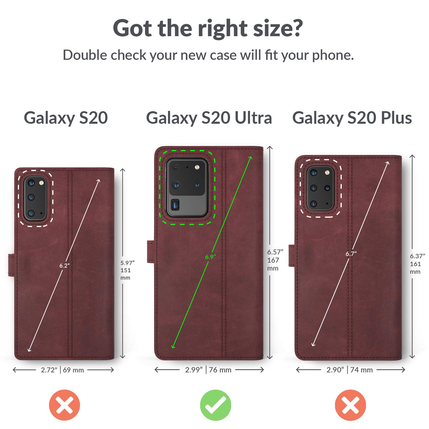 Snakehive - View 2 of 6