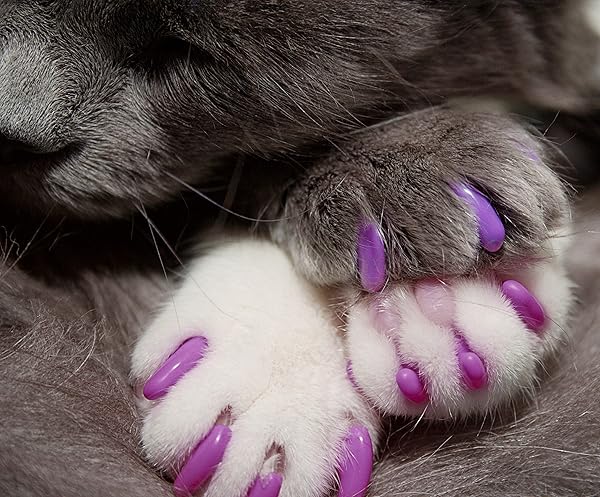 Kitty Caps Kitty Caps Nail Caps for Cats Hot Purple and Hot Pink 40 Count Large 3 Pack Safe Stylish Humane Alternative to Declawing - View 2 of 7