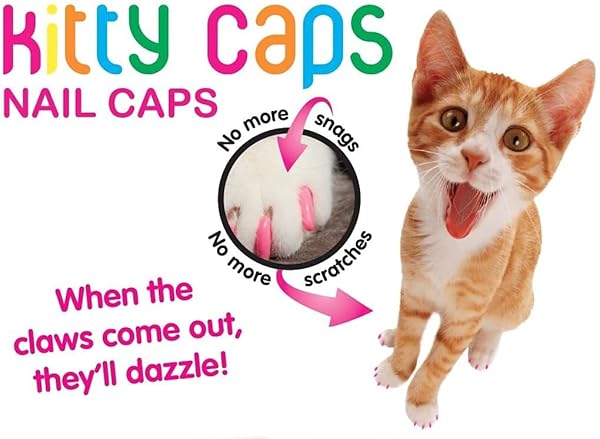 Kitty Caps Kitty Caps Nail Caps for Cats Hot Purple and Hot Pink 40 Count Large 3 Pack Safe Stylish Humane Alternative to Declawing - View 4 of 7