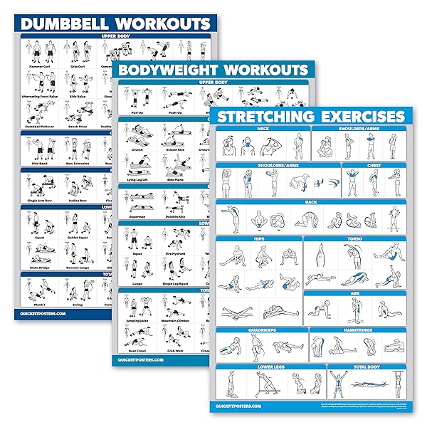 Palace Learning "QuickFit 3 Pack: Laminated Dumbbell, Bodyweight & Stretching Workout Posters - 18"x24" Charts for Effective Home Fitness"