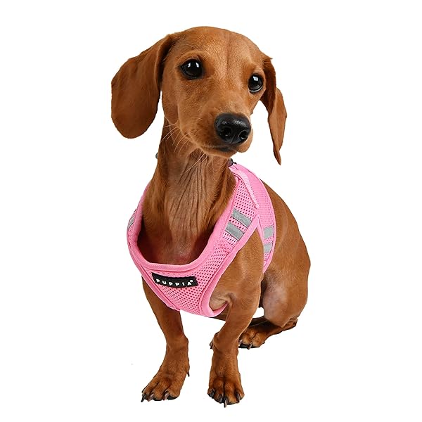 Puppia Puppia Soft Vest Harness PRO Pink XL Comfortable and Stylish Dog Harness for Easy Walks - View 4 of 4