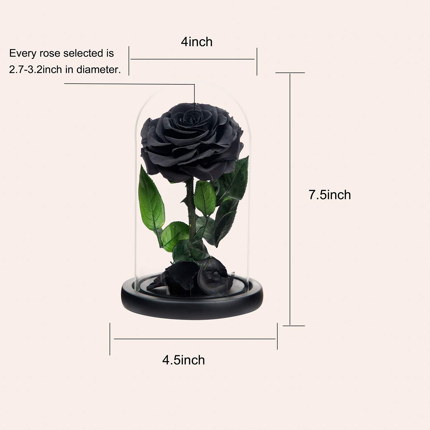 NATROSES NATROSES Handmade Black Preserved Roses in Glass Dome Perfect Gift for Women on Mothers Day - View 2 of 7