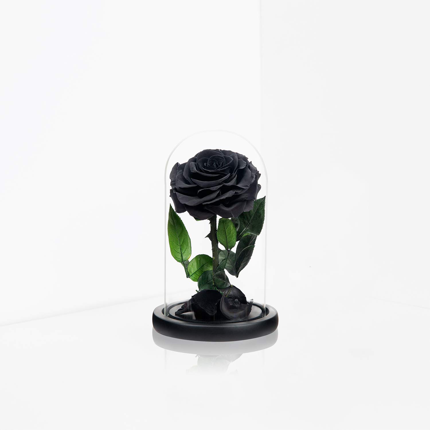 NATROSES NATROSES Handmade Black Preserved Roses in Glass Dome Perfect Gift for Women on Mothers Day - View 3 of 7