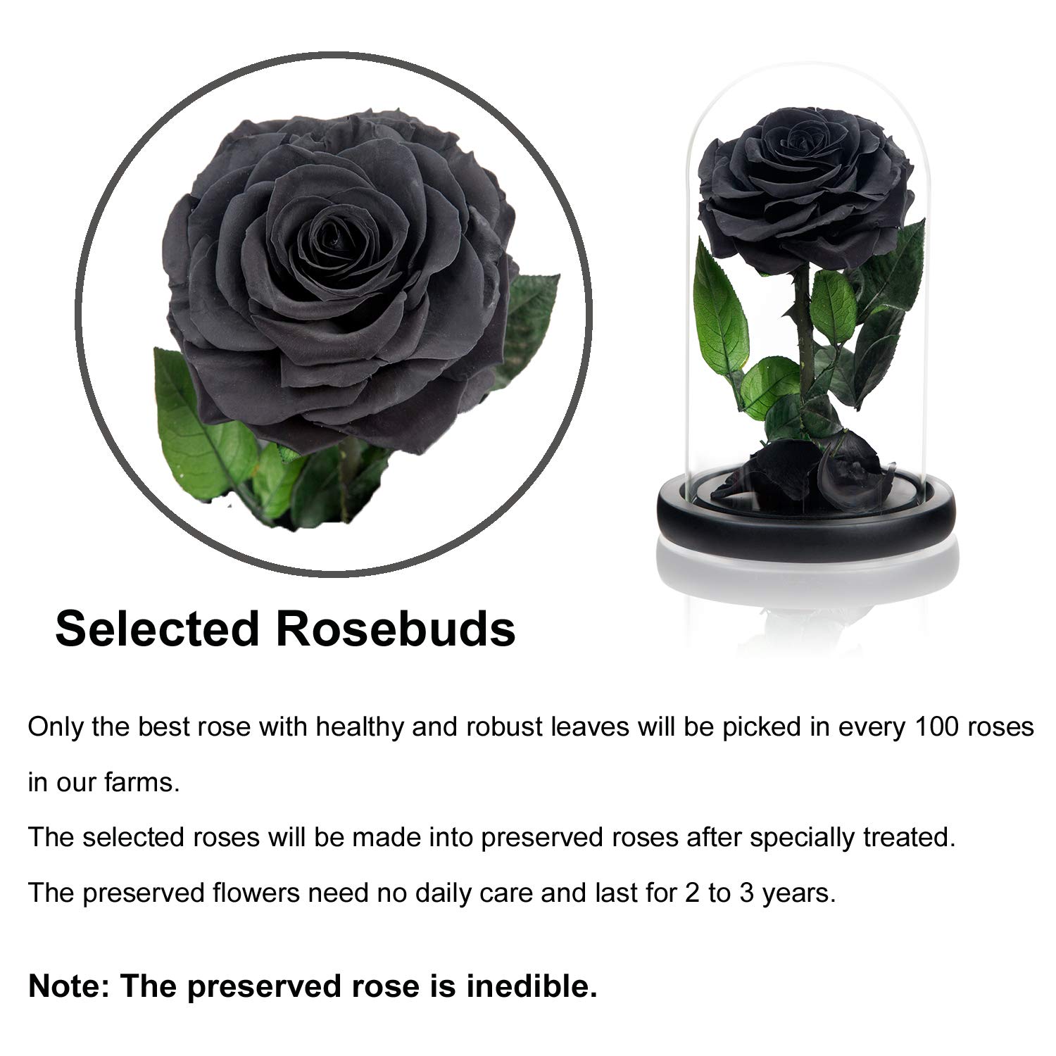 NATROSES NATROSES Handmade Black Preserved Roses in Glass Dome Perfect Gift for Women on Mothers Day - View 4 of 7