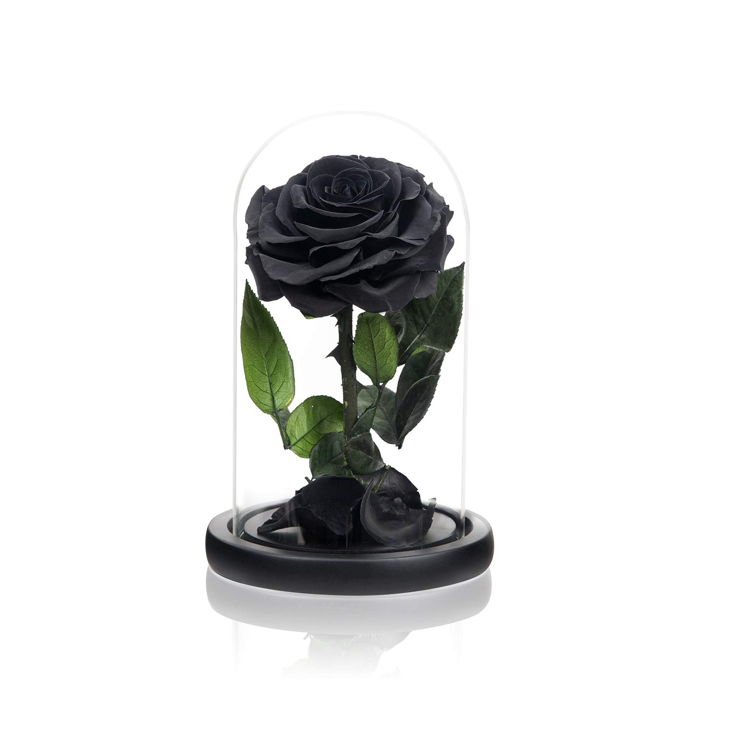 NATROSES NATROSES Handmade Black Preserved Roses in Glass Dome Perfect Gift for Women on Mothers Day - View 6 of 7