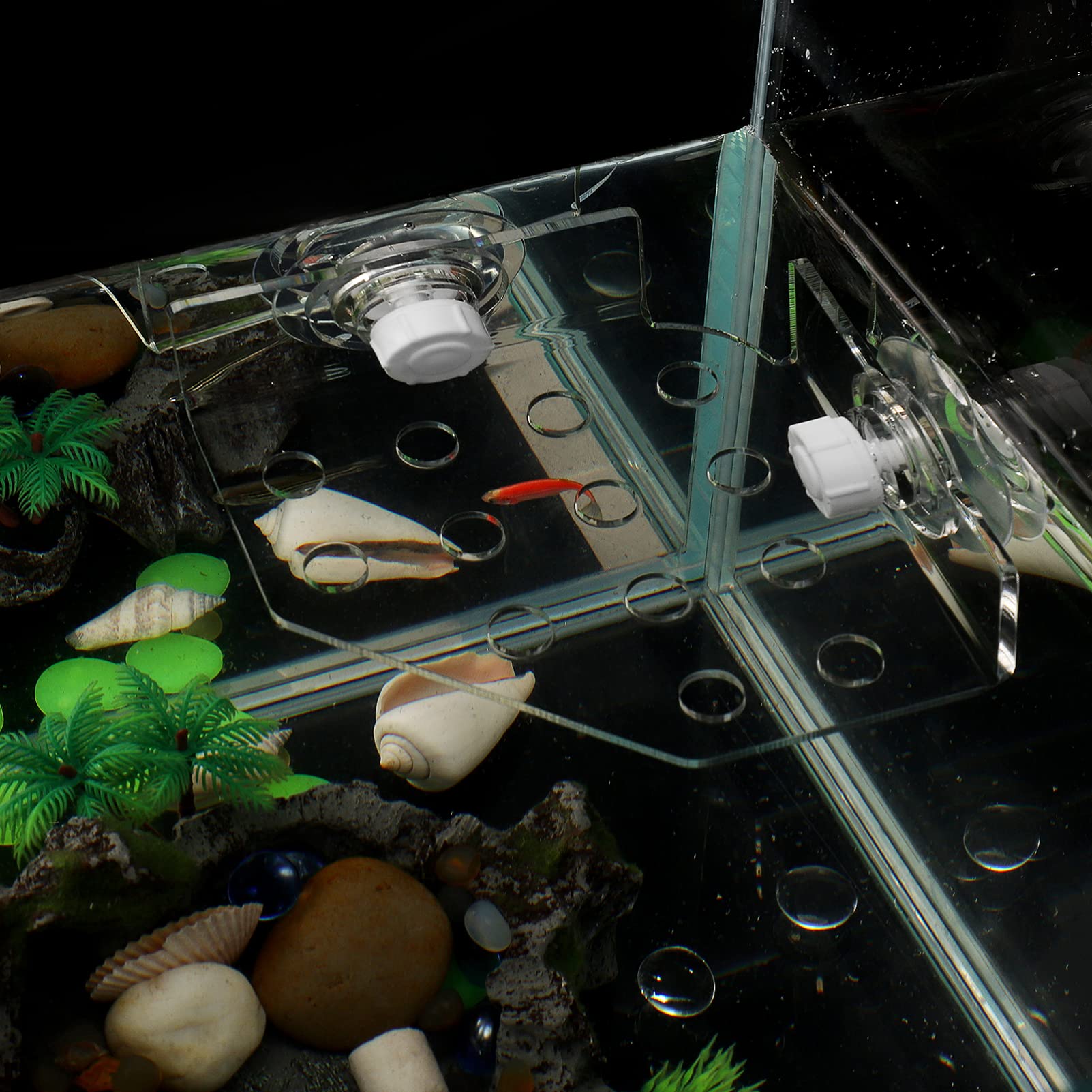 POPETPOP POPETPOP Coral Rack Transparent Fish Tank Coral Holder with Suction Cup Acrylic Base for Aquarium 13 Plug Holes - View 5 of 9