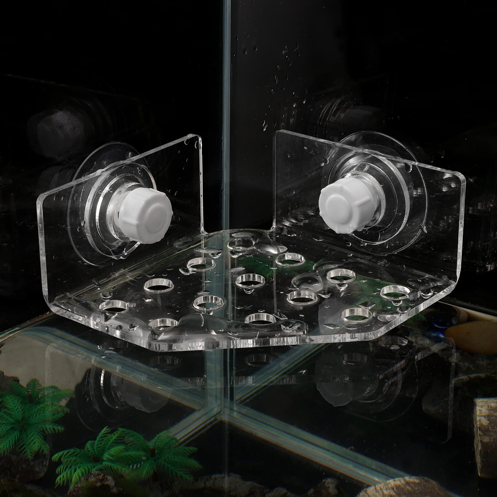 POPETPOP POPETPOP Coral Rack Transparent Fish Tank Coral Holder with Suction Cup Acrylic Base for Aquarium 13 Plug Holes - View 9 of 9