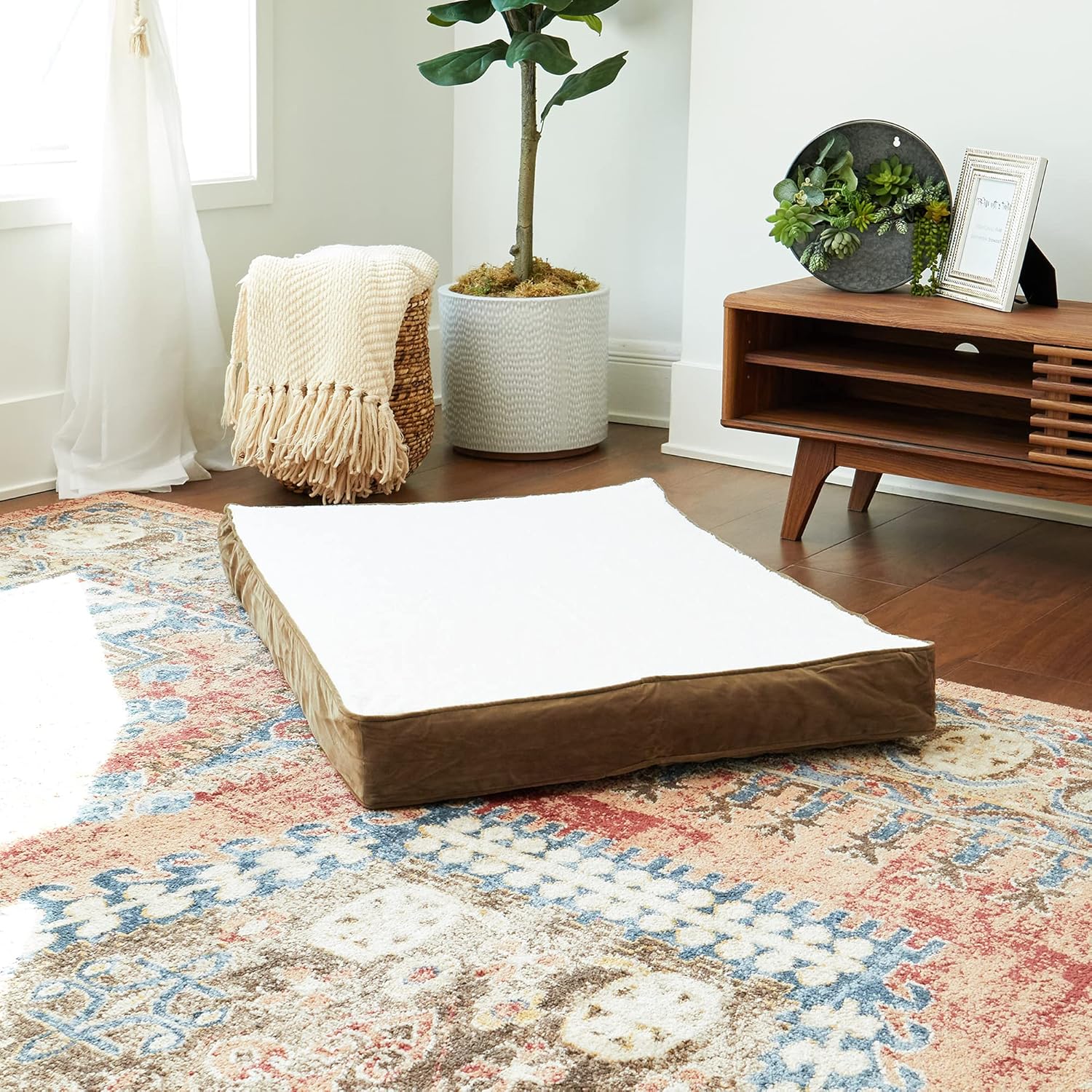 South Pine Porch South Pine Porch Ollie Orthopedic Rectangle Foam Dog Bed Latte Medium 42 x 30 Inches for Ultimate Pet Comfort - View 3 of 9