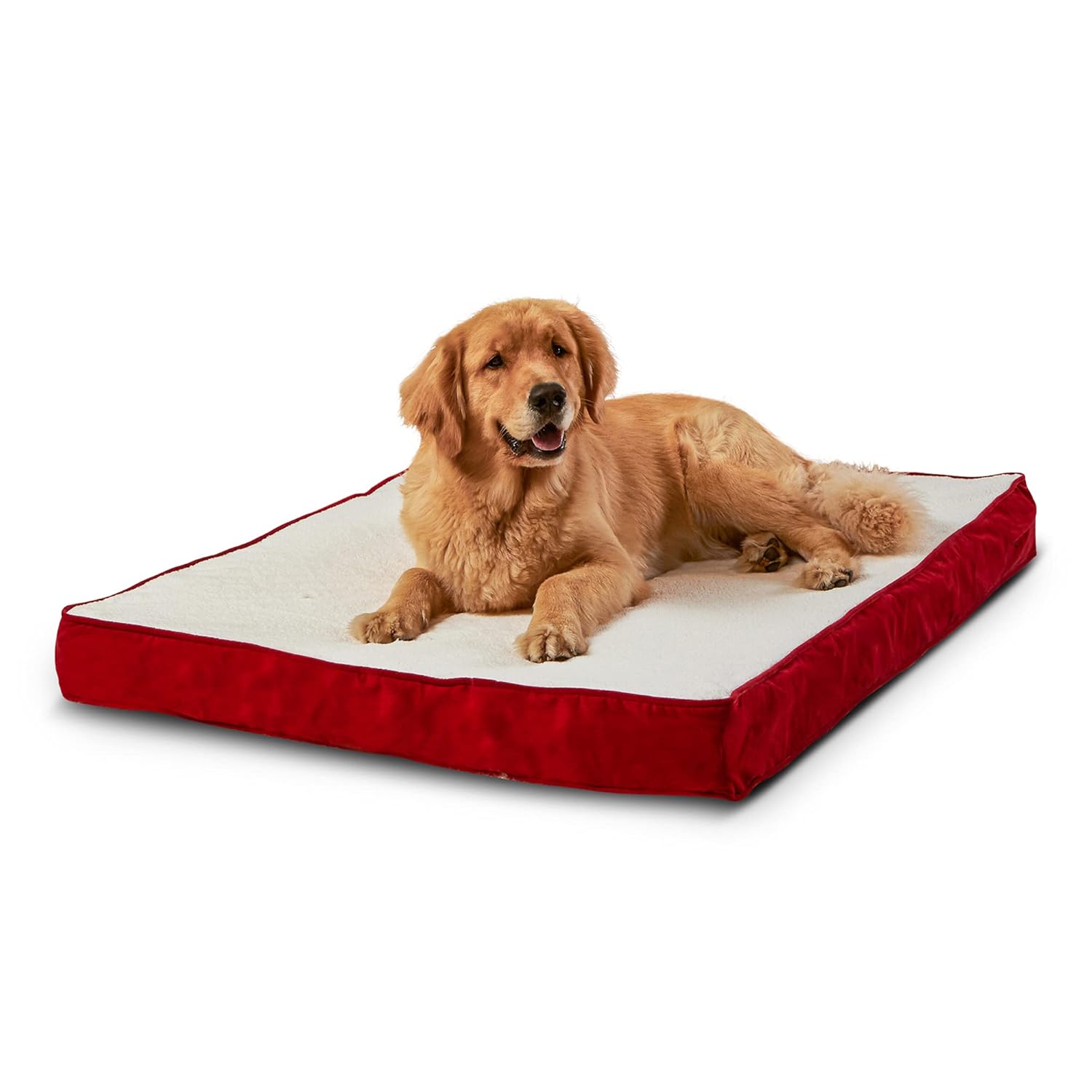 South Pine Porch South Pine Porch Ollie Orthopedic Rectangle Foam Dog Bed Latte Medium 42 x 30 Inches for Ultimate Pet Comfort - View 8 of 9