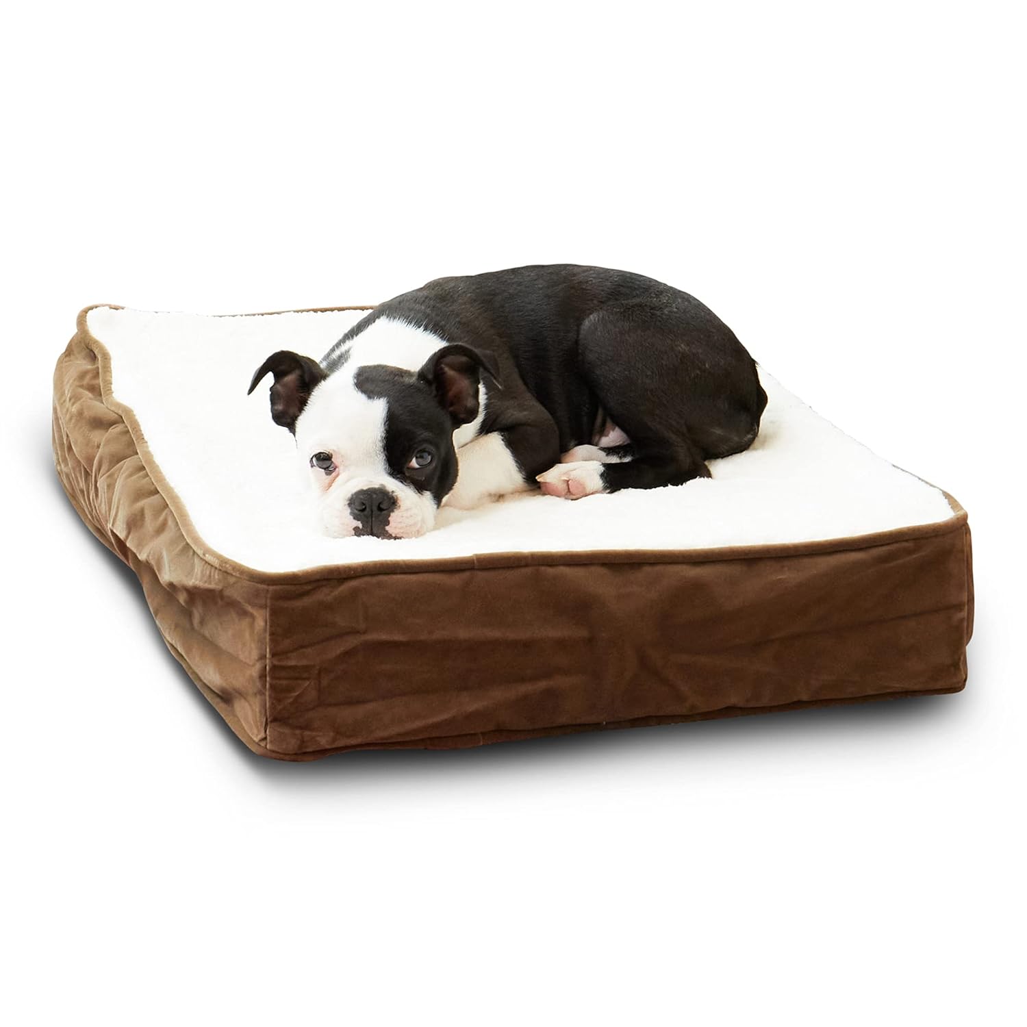 South Pine Porch South Pine Porch Ollie Orthopedic Rectangle Foam Dog Bed Latte Medium 42 x 30 Inches for Ultimate Pet Comfort - View 9 of 9