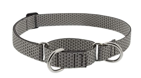 Lupine Lupine ECO Collection Martingale Large Dog Collar 1 Inch Wide Granite Adjustable 19 to 27 Inches